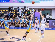 河南vs重庆比分预测